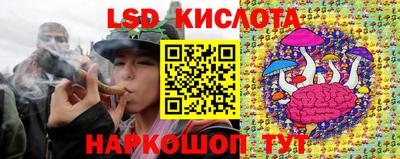 spice Кулебаки