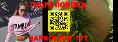 spice Кулебаки