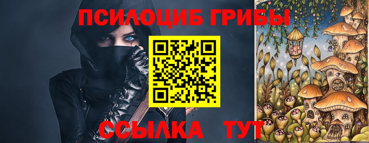 Галлюциногенные грибы Cubensis Жуковский