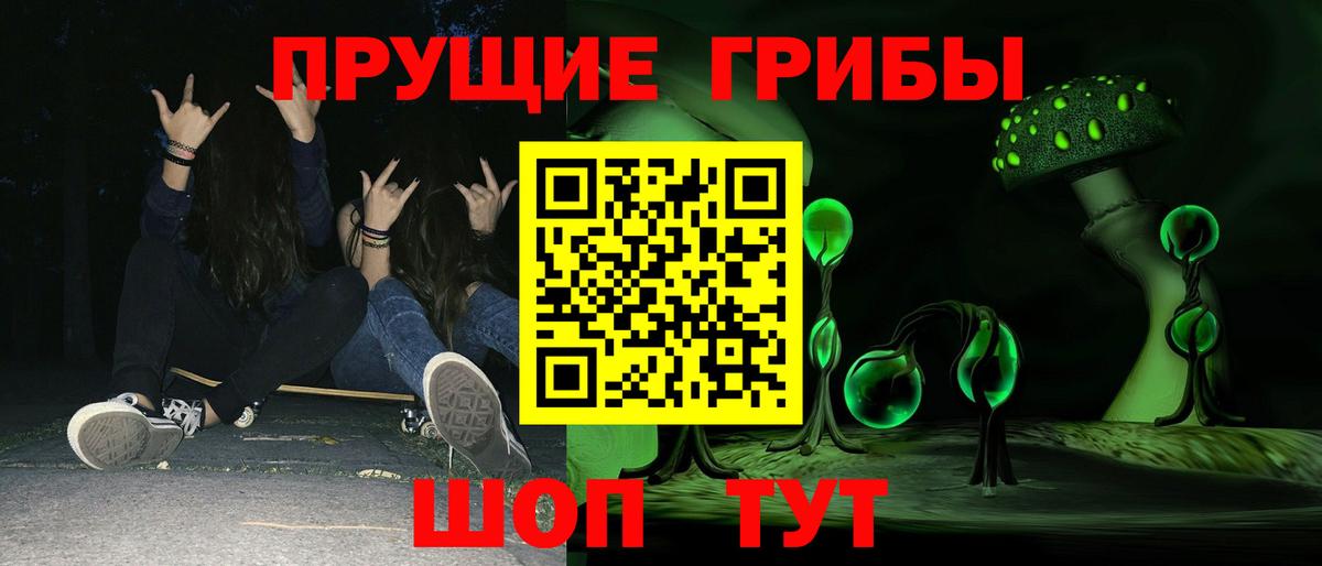 Жуковский  Псилоцибиновые грибы MAGIC MUSHROOMS  Вход с VPN 